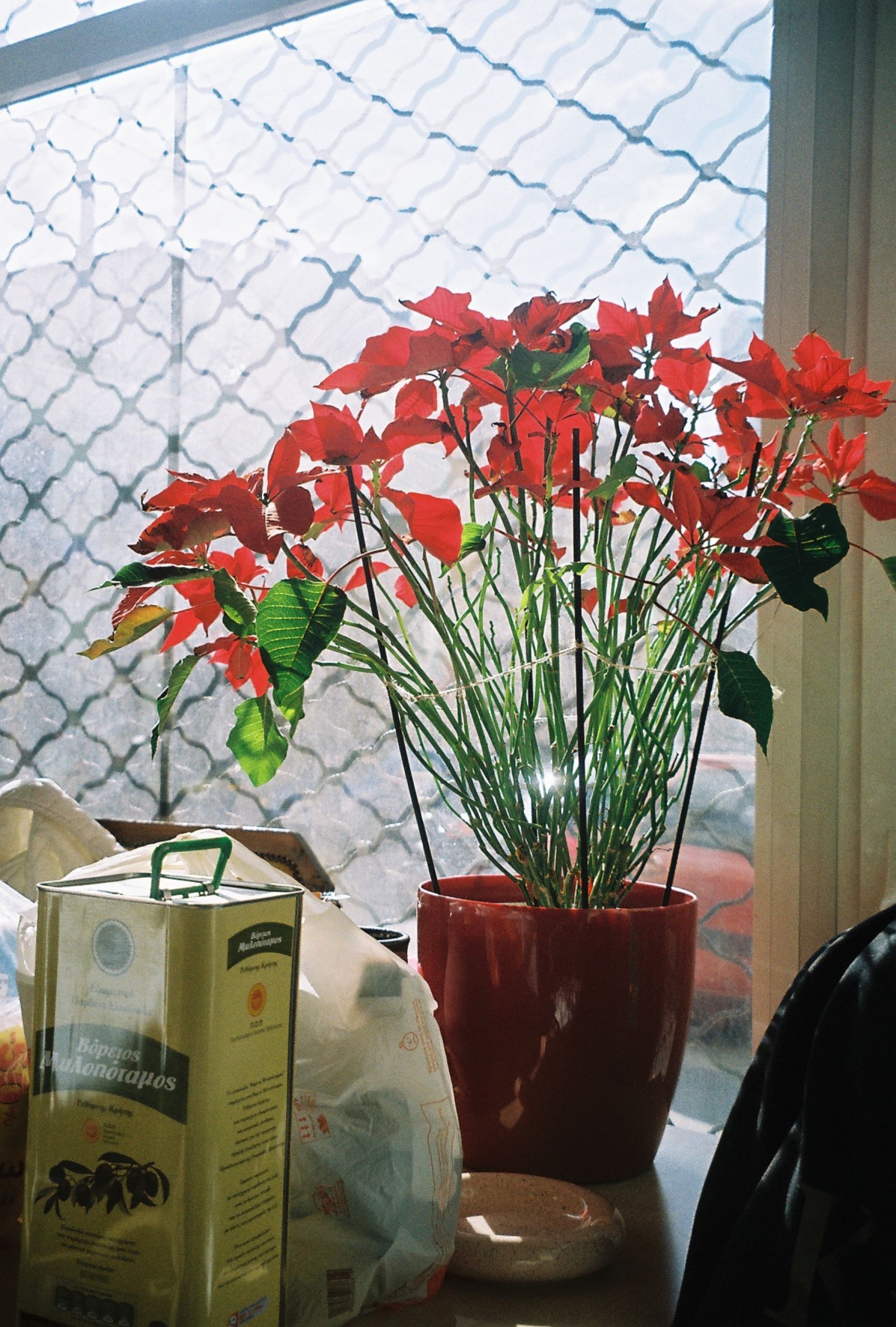 society kitchen "the other human" news r1 06890 024a large